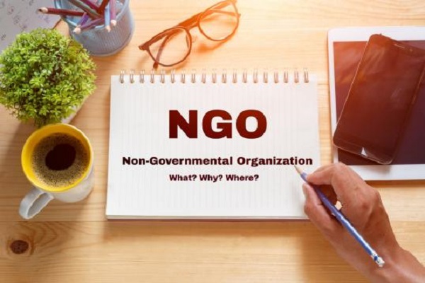 NGO Website designing Lucknow