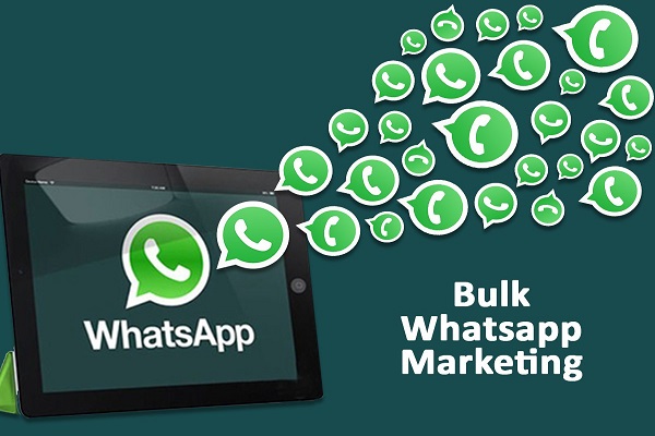 Whatsapp Bulk Marketing Registration Service in Lucknow